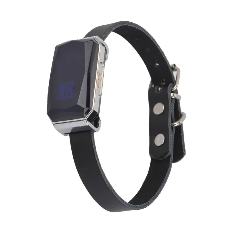 G12 Smart GPS Pet Tracker: Mini, Wasserdicht & Anti-Verlust Halsband für Hunde & Katzen