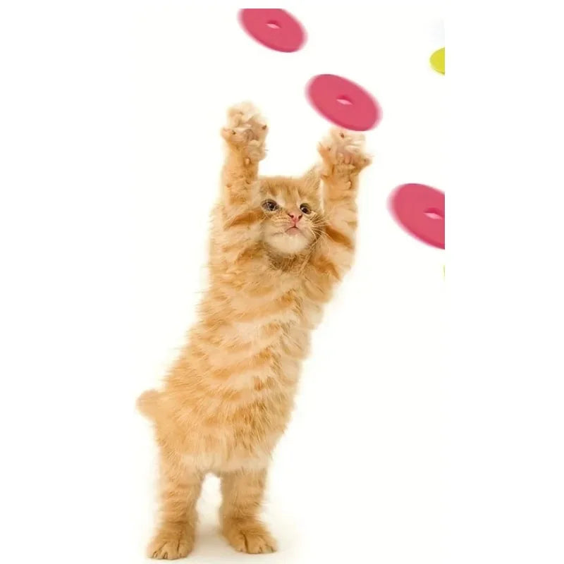 Neu Rettich Pistole Katzenspielzeug Interaktiv 15 Schaumstoffscheiben Hund Katze Spaß 🥕🔫
