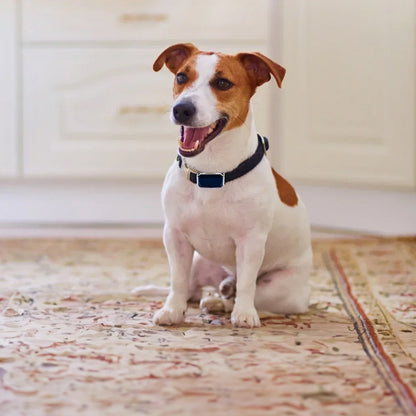 G12 Smart GPS Pet Tracker: Mini, Wasserdicht & Anti-Verlust Halsband für Hunde & Katzen
