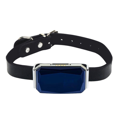 G12 Smart GPS Pet Tracker: Mini, Wasserdicht & Anti-Verlust Halsband für Hunde & Katzen