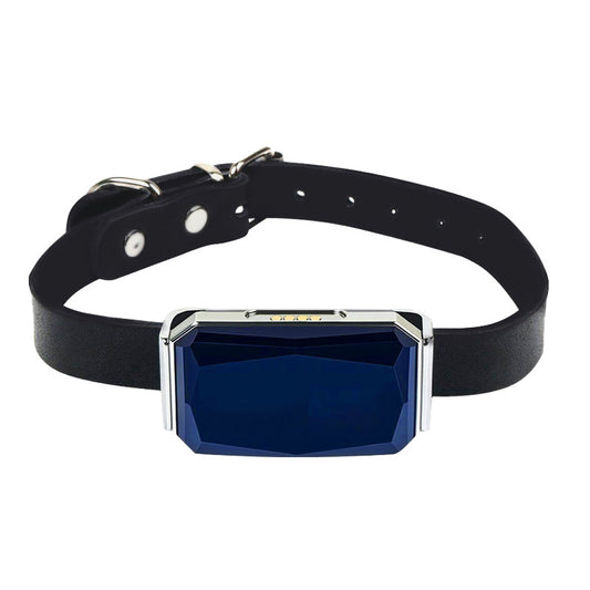 G12 Smart GPS Pet Tracker: Mini, Wasserdicht & Anti-Verlust Halsband für Hunde & Katzen