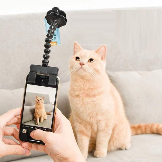 Teddy-Kamera-Halterung für Handy: Perfekt für Haustier-Selfies und Fotos