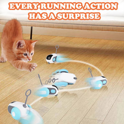 Smartes Katzenspielzeug Auto 2 Modi Ferngesteuert Interaktiv für Katzen Hunde 🐾🚗
