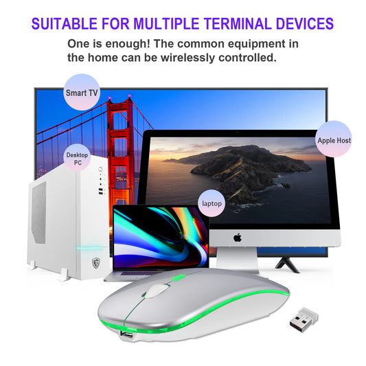 Kabellose Maus Dual-Modus | Bluetooth & LED | Für Laptop, iPad & Tablet